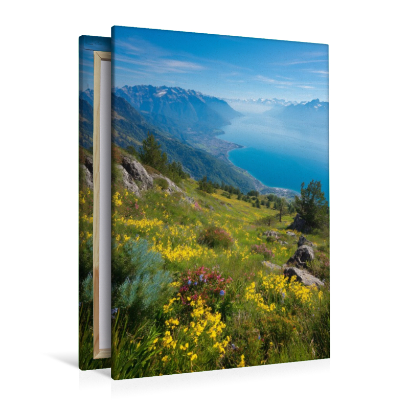 Genfer See Schweiz