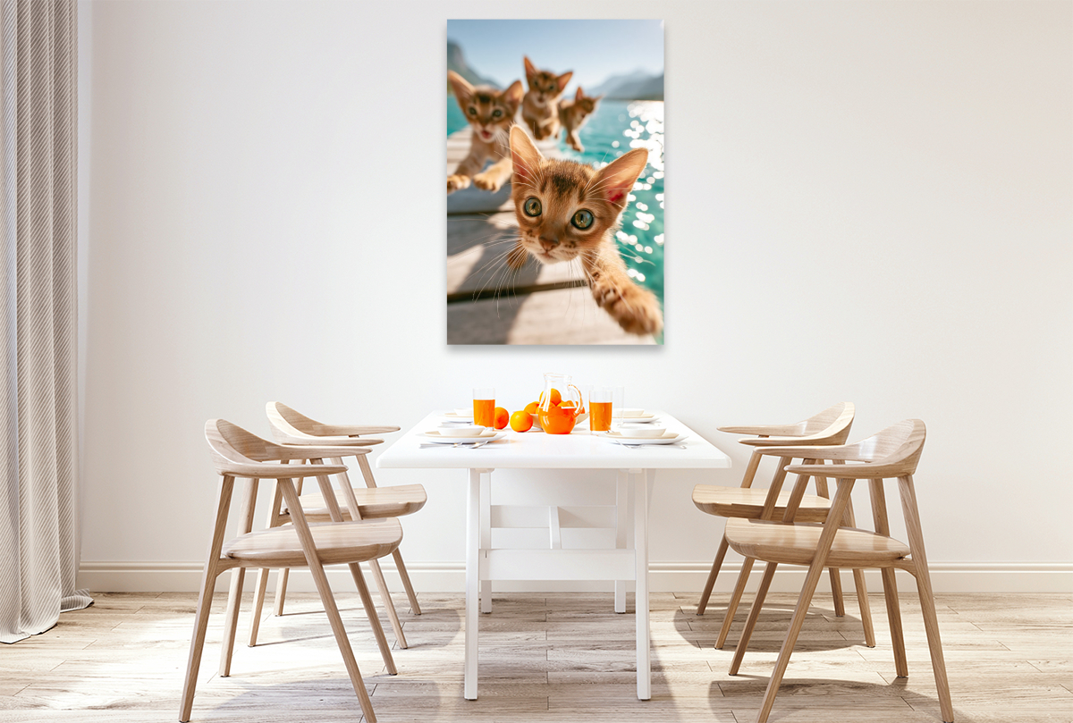 Sommer, Sonne, Katzenabenteuer