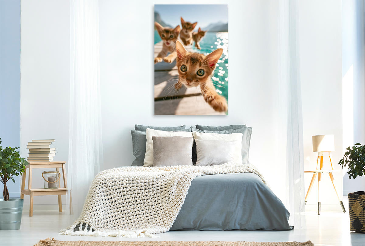 Sommer, Sonne, Katzenabenteuer