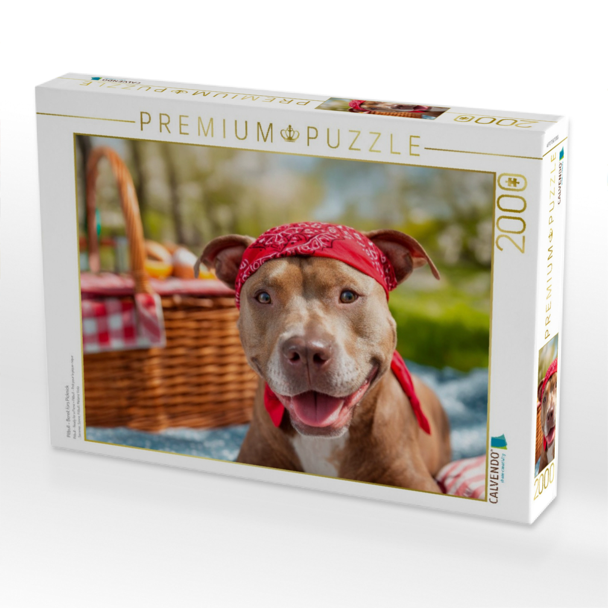 Pitbull - Bereit fürs Picknick
