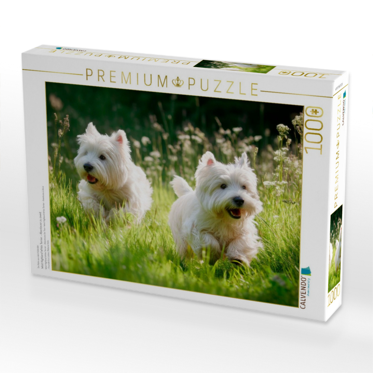 West Highland White Terrier - Abenteuer zu zweit