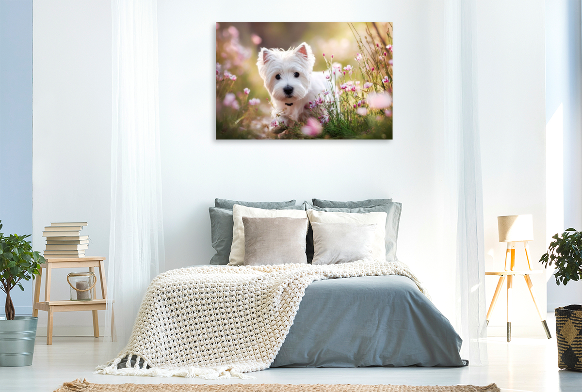 West Highland White Terrier - Mitten im Sommerglück
