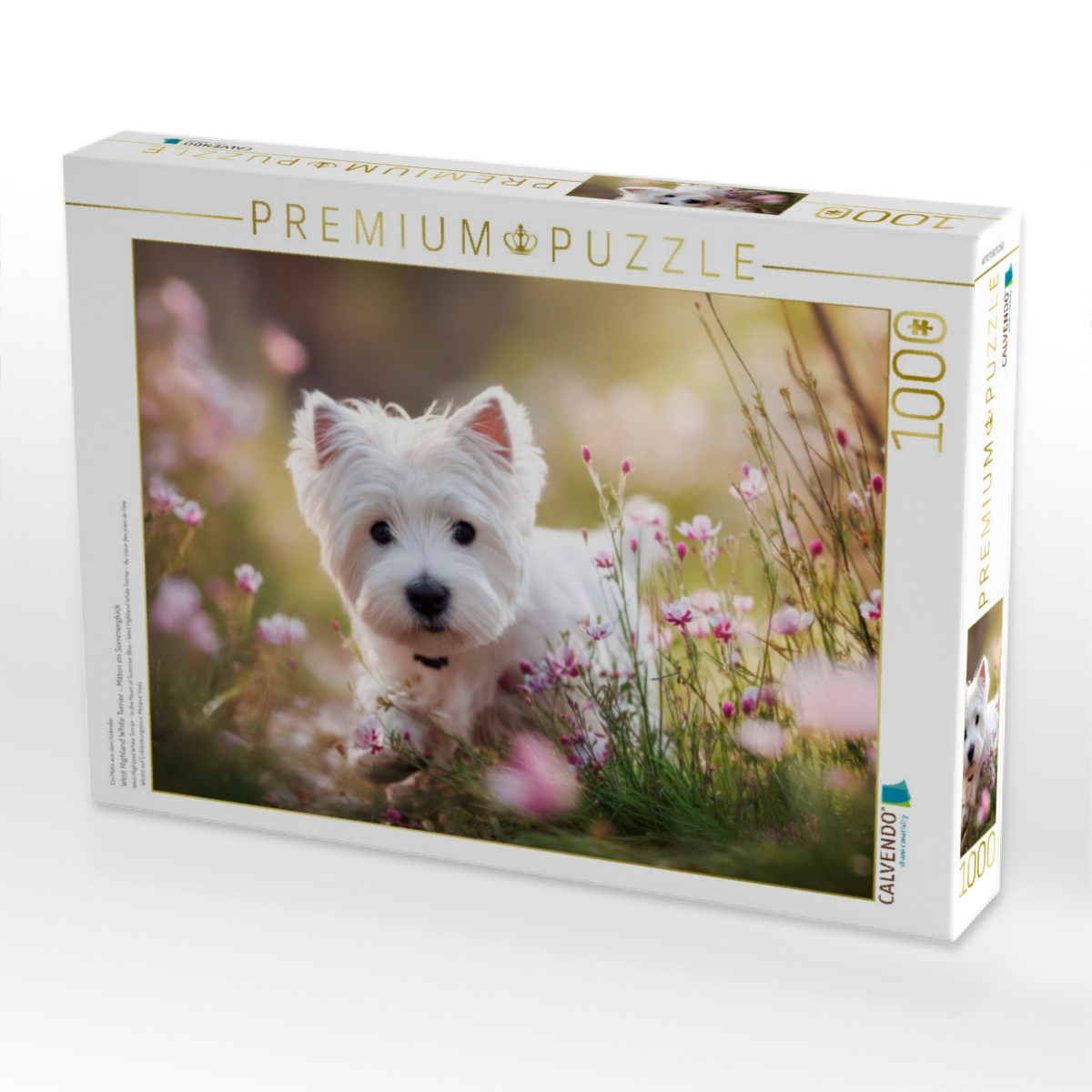 West Highland White Terrier - Mitten im Sommerglück