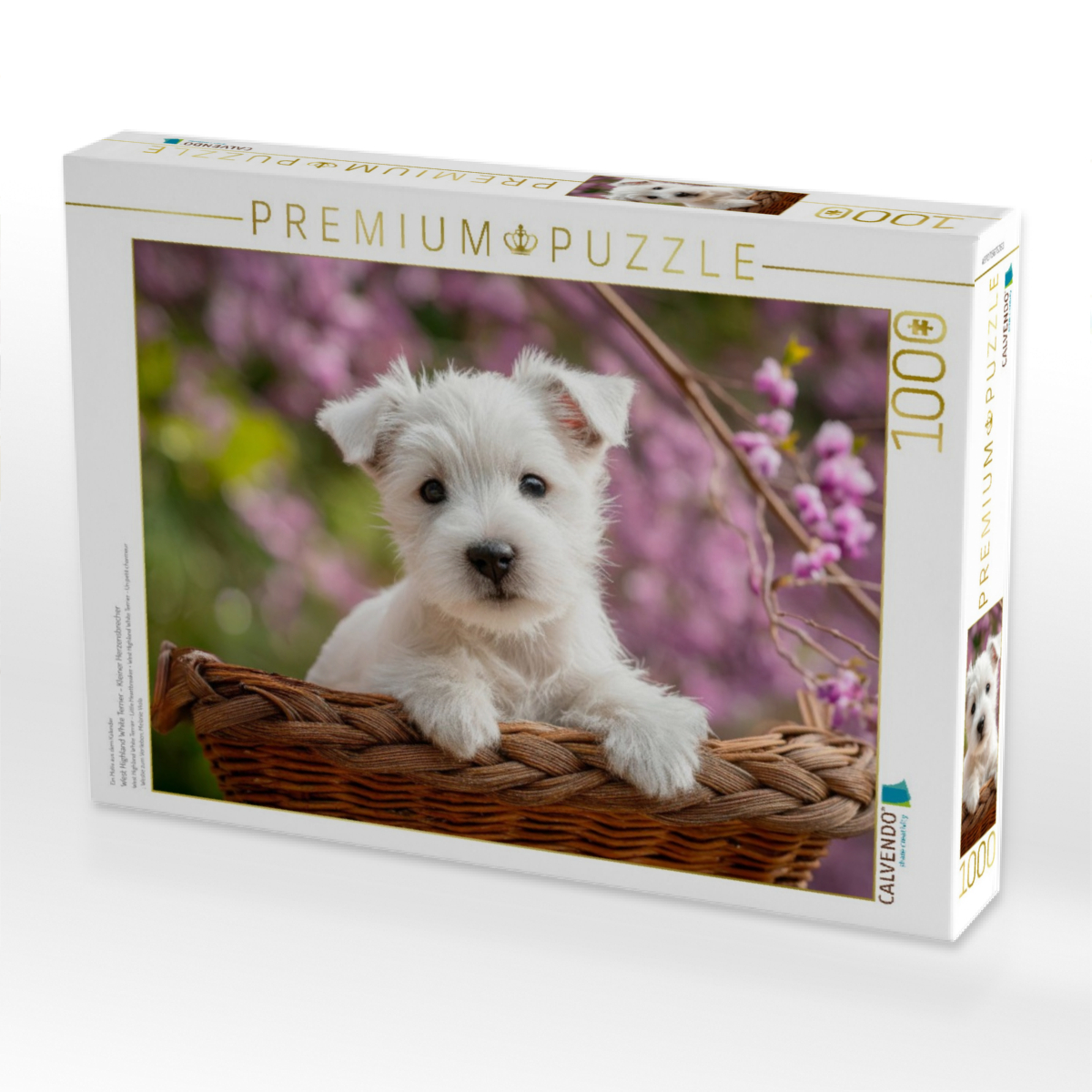 West Highland White Terrier - Kleiner Herzensbrecher