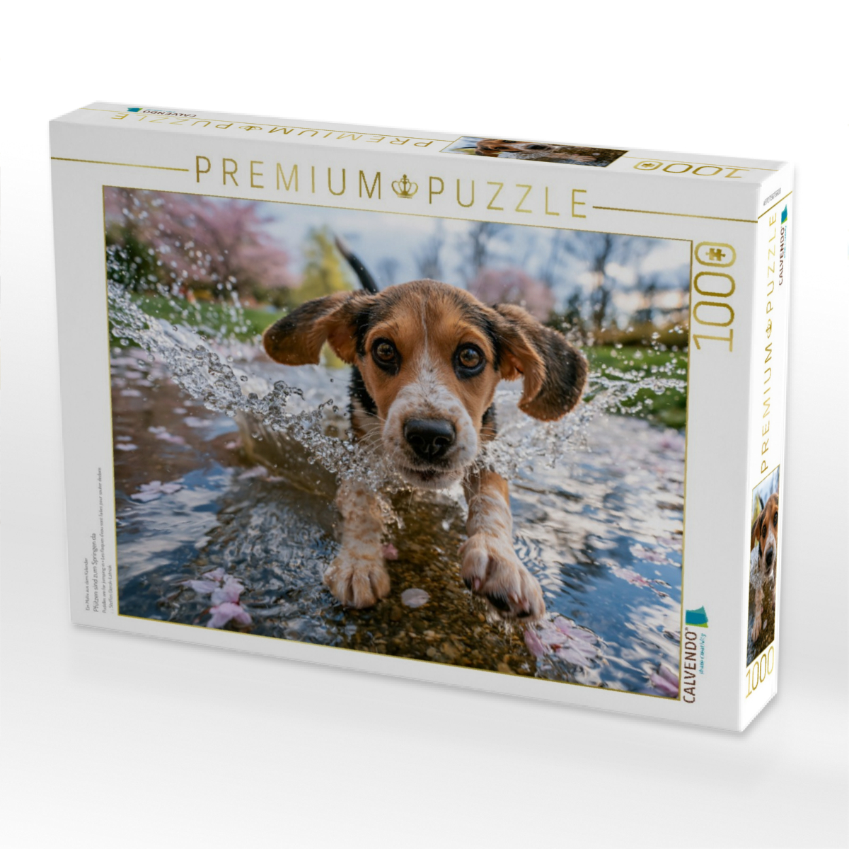Pfützen sind zum Springen da