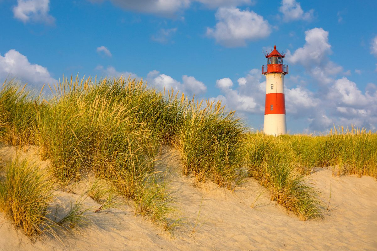 Dünenlandschaft am Leuchtturm List-Ost auf Sylt