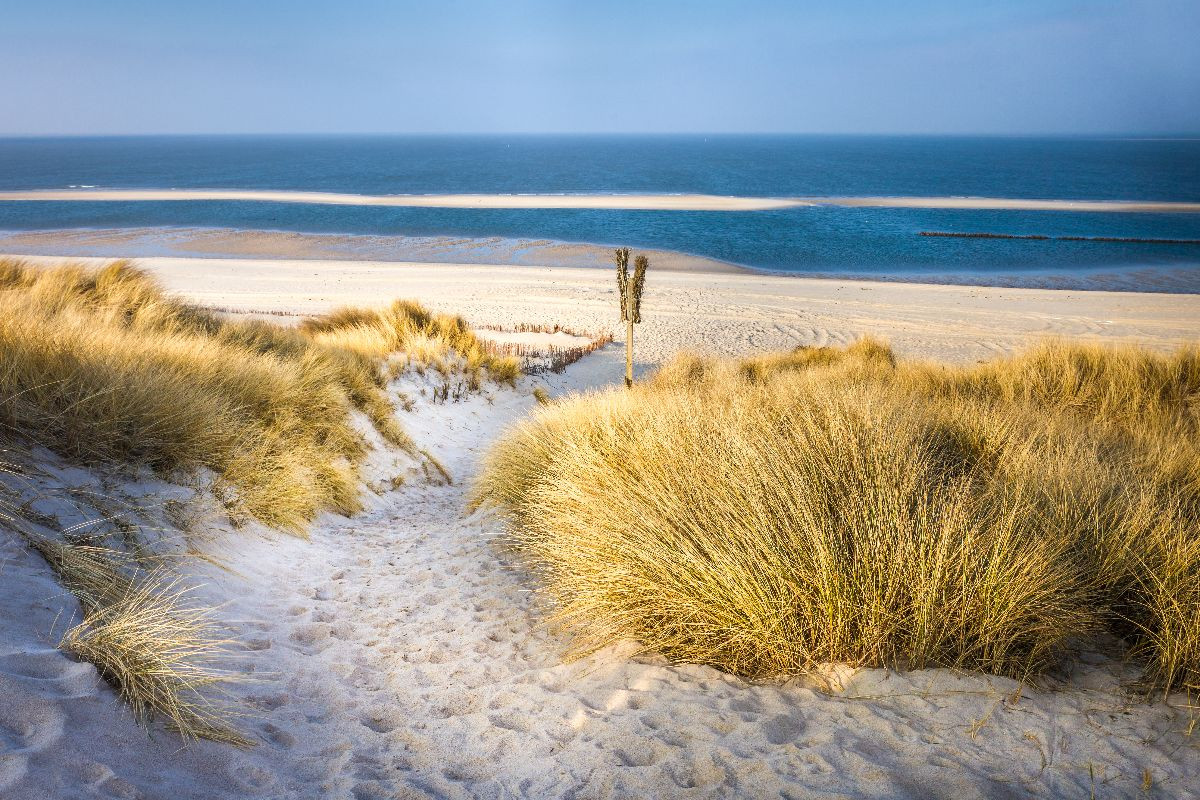 Dünenlandschaft im Naturschutzgebiet Ellenbogen bei List auf Sylt