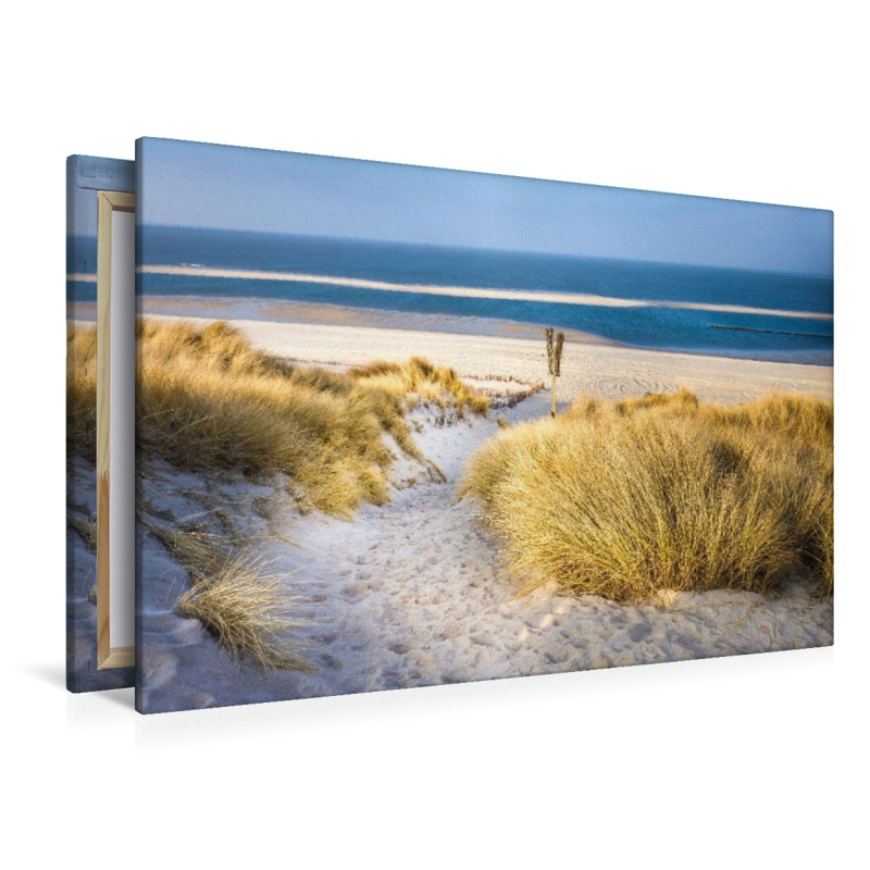 Dünenlandschaft im Naturschutzgebiet Ellenbogen bei List auf Sylt
