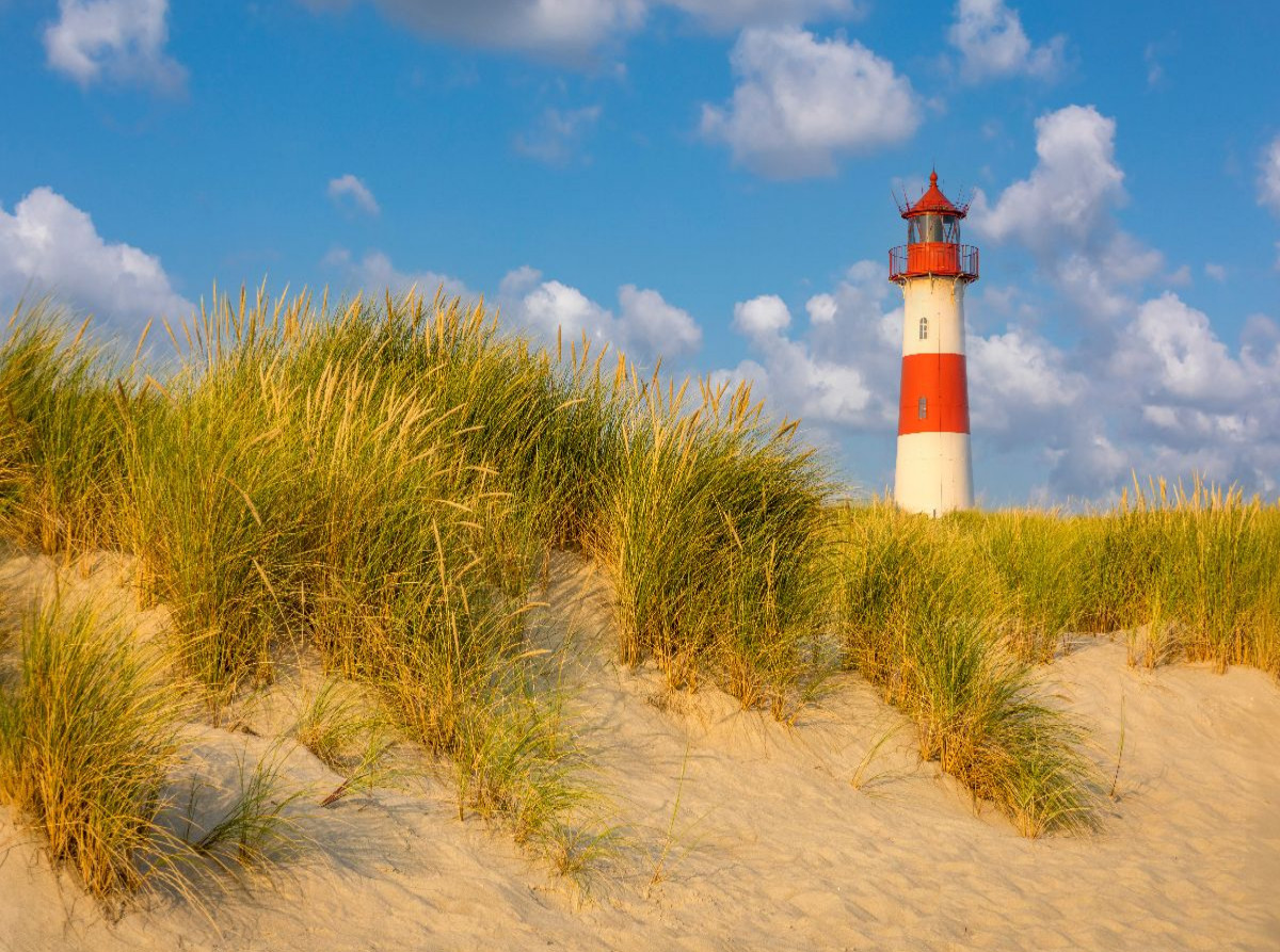 Dünenlandschaft am Leuchtturm List-Ost auf Sylt