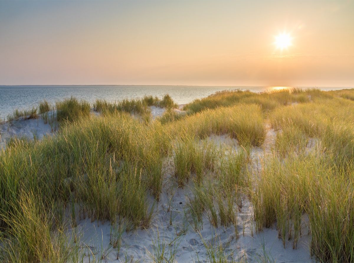 Sonnenaufgang im Naturschutzgebiet Ellenbogen auf Sylt