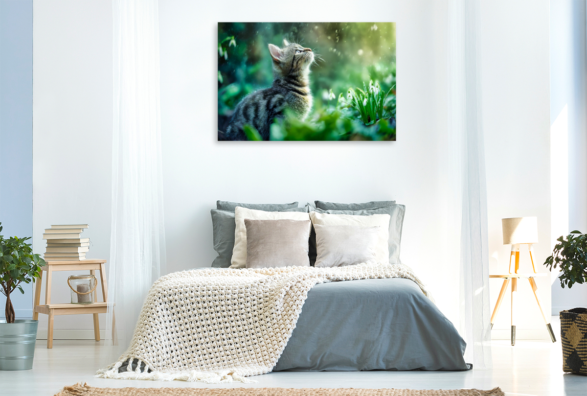 Ein Motiv aus dem Kalender Schnurren & Streifen - Zwölf Monate mit Tigerkatzen