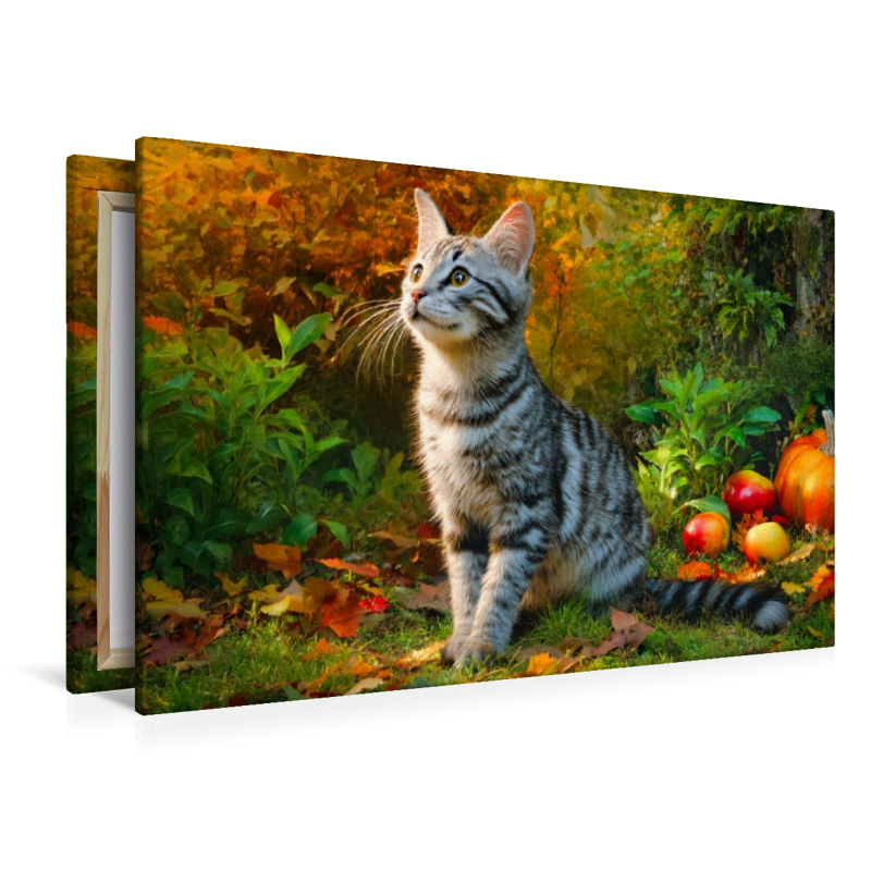 Herbst im Fell