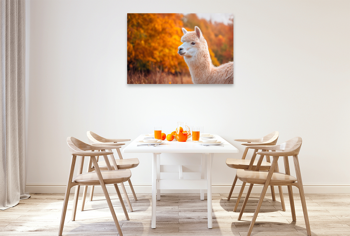 Alpaka - Goldener Herbst
