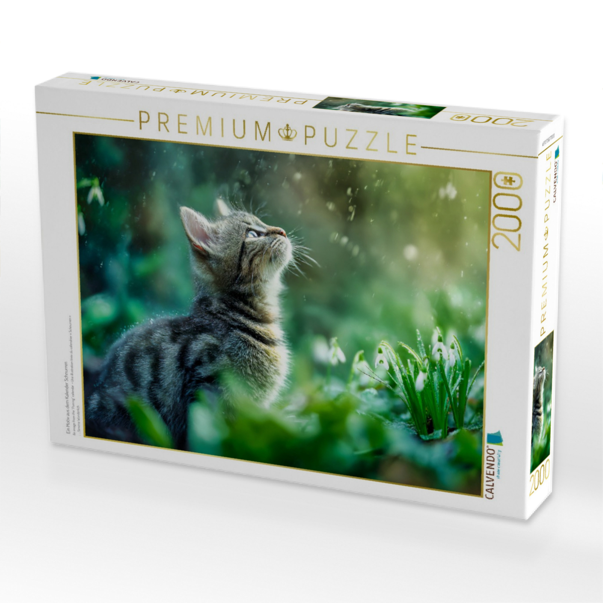 Ein Motiv aus dem Kalender Schnurren & Streifen - Zwölf Monate mit Tigerkatzen