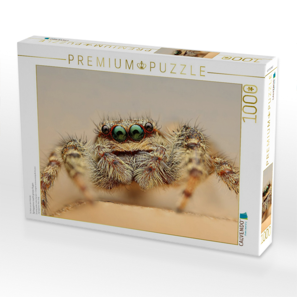 Springspinne macht grosse Augen
