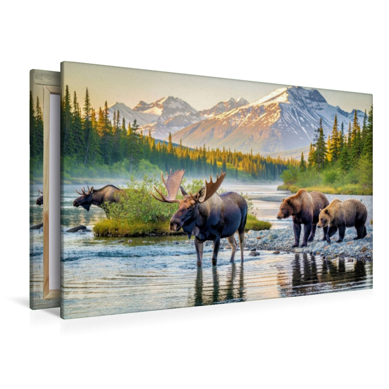 Wild. Weit. Wunderbar. Alaska: Heimat von Elch und Bär.