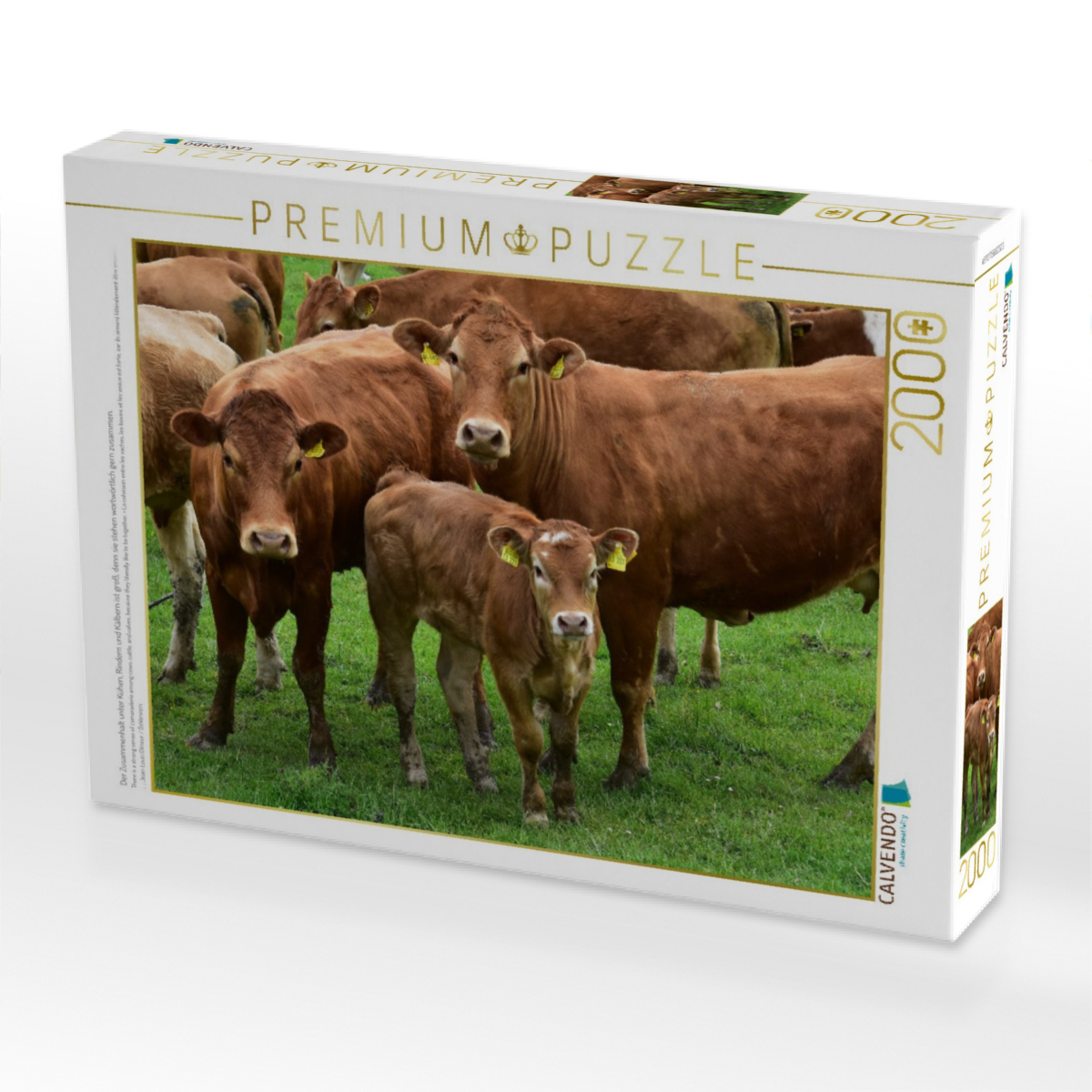 Der Zusammenhalt unter Kühen, Rindern und Kälbern ist groß, denn sie stehen wortwörtlich gern zusammen.