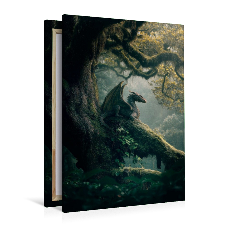 Drachen - Im Schatten des Weltenbaums