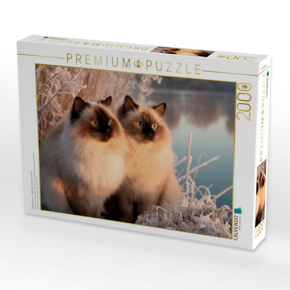 Heilige Birma - Magische Wintermomente