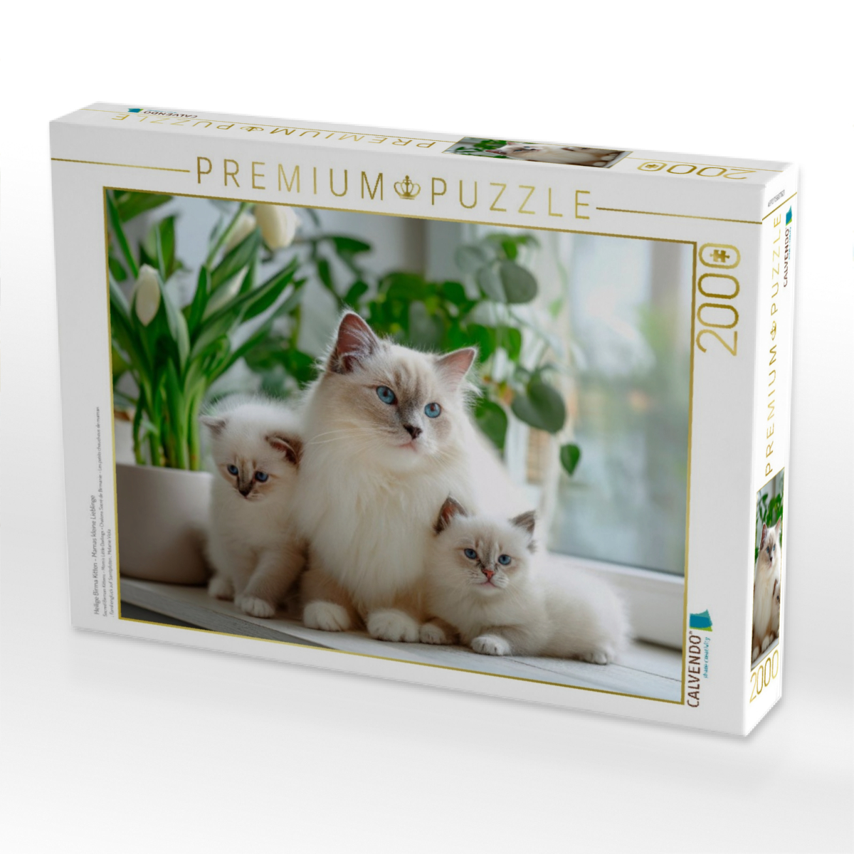 Heilige Birma Kitten - Mamas kleine Lieblinge