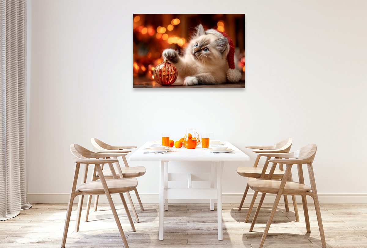 Heilige Birma - Weihnachtsmagie
