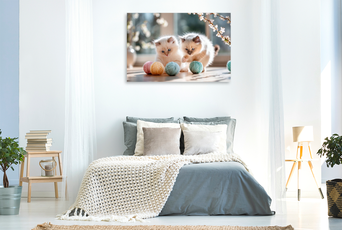 Heilige Birma Kitten – Samtpfoten im Spielefieber