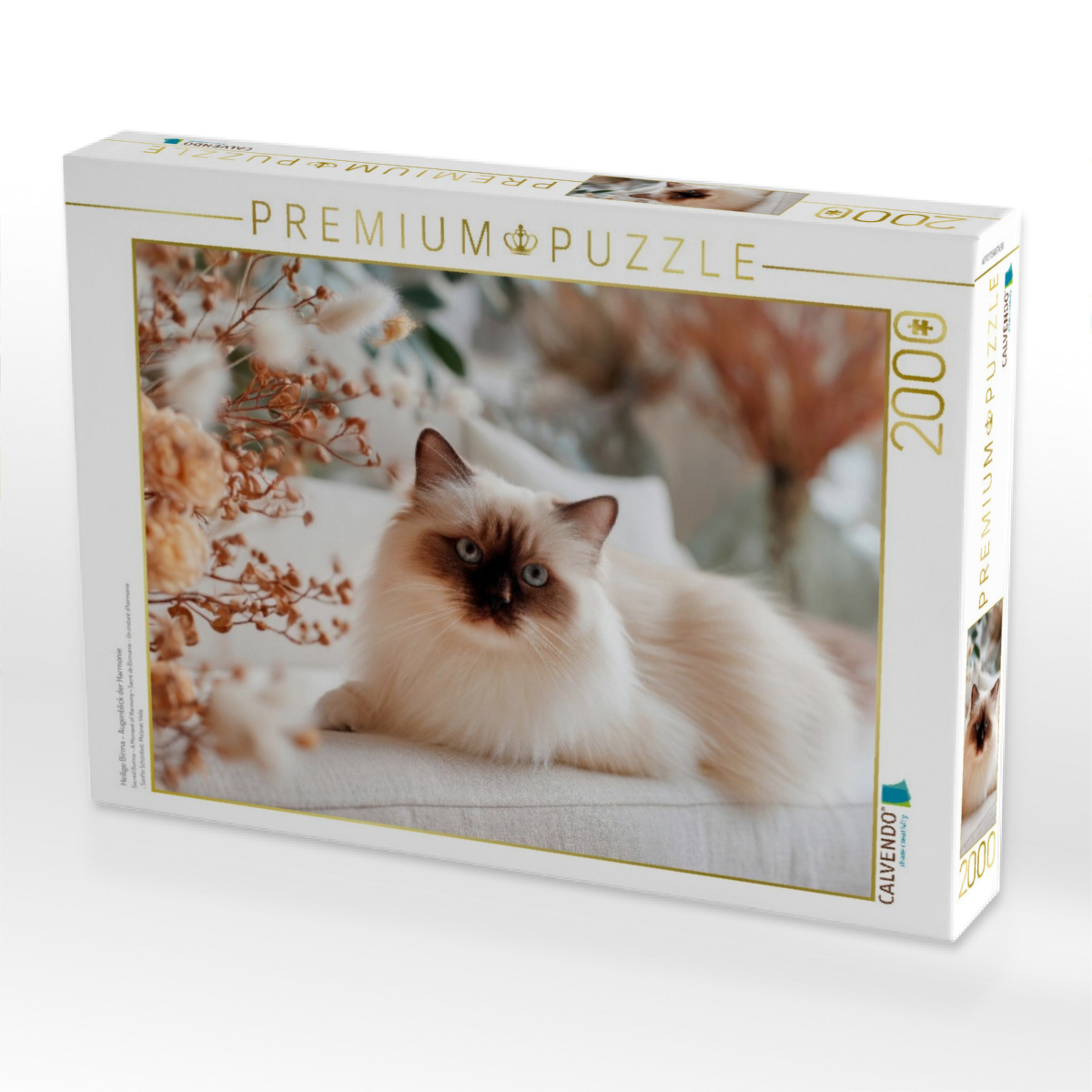 Heilige Birma - Augenblick der Harmonie