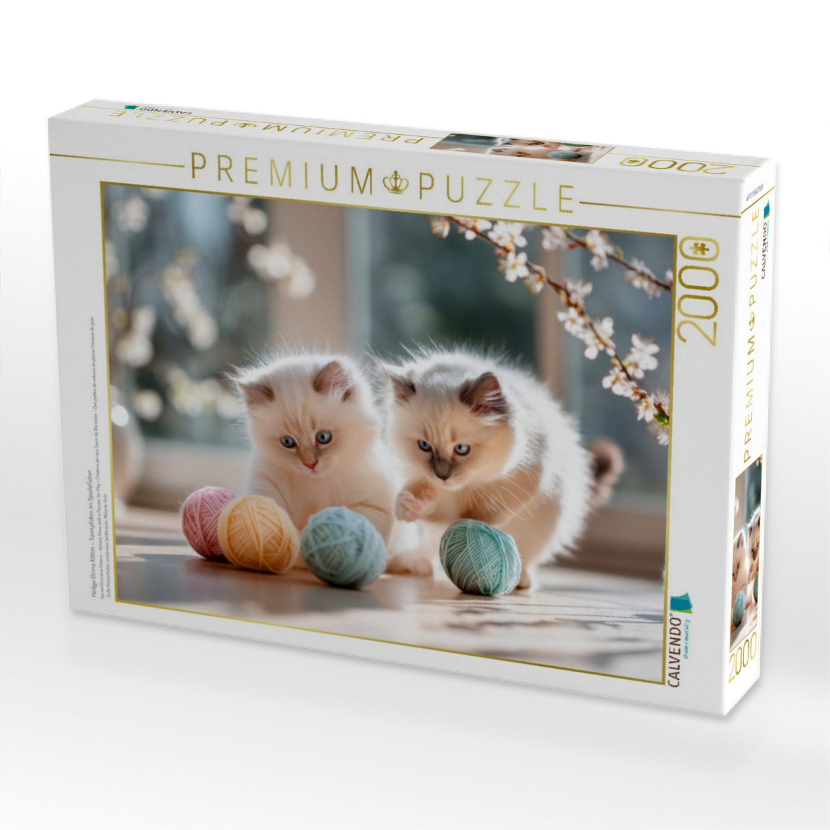 Heilige Birma Kitten – Samtpfoten im Spielefieber