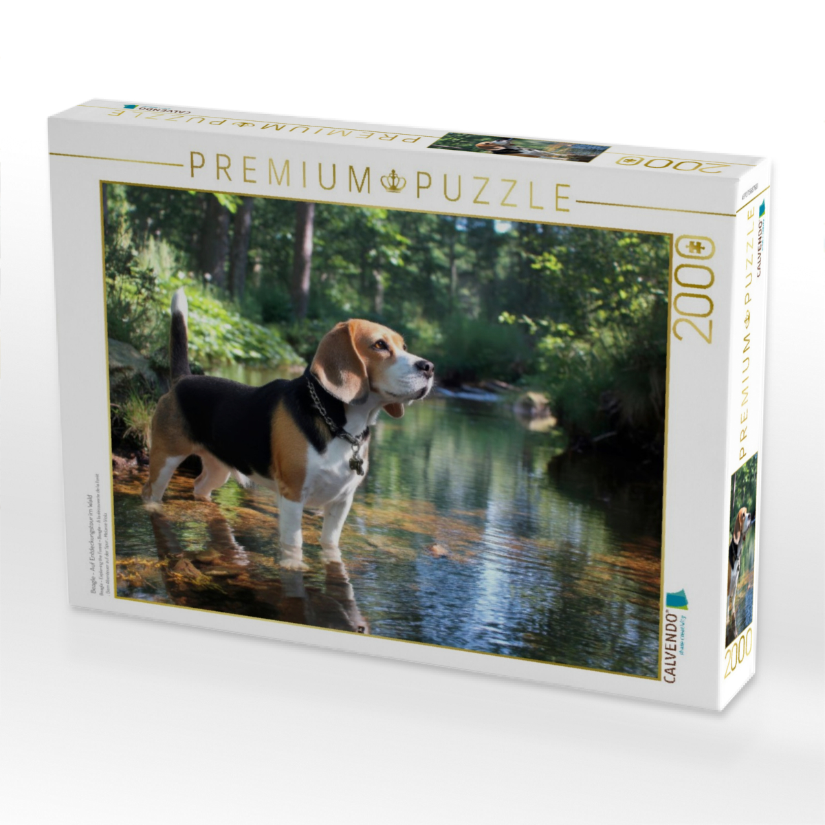 Beagle - Auf Entdeckungstour im Wald