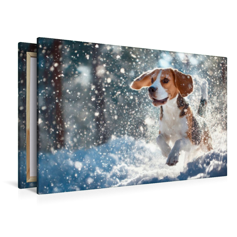 Beagle - Mit fliegenden Ohren ins Winterglück
