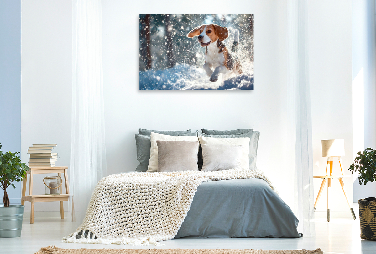 Beagle - Mit fliegenden Ohren ins Winterglück