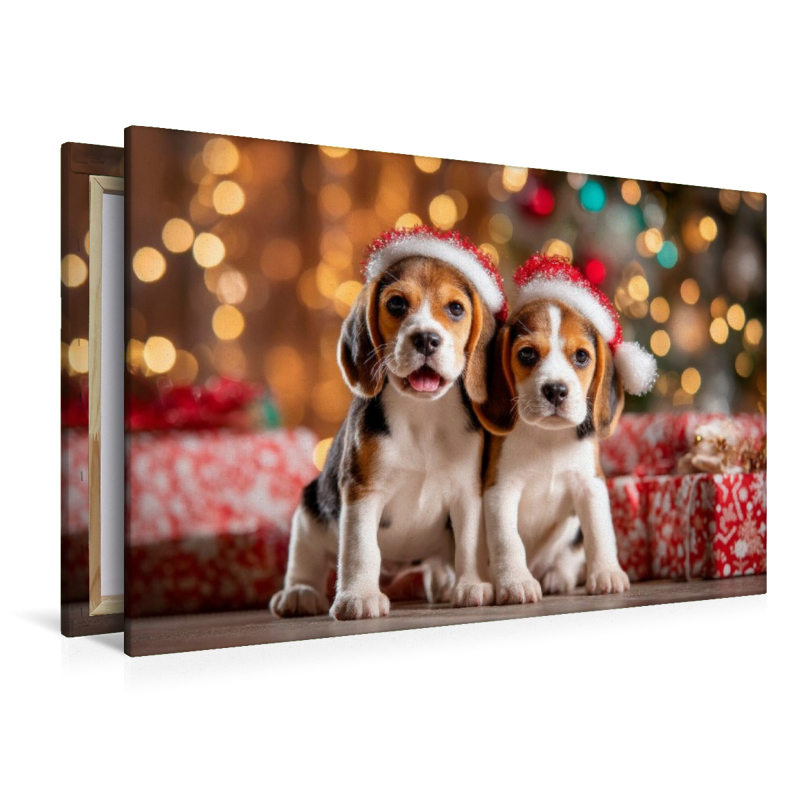 Beagles - Weihnachtsglück auf vier Pfoten