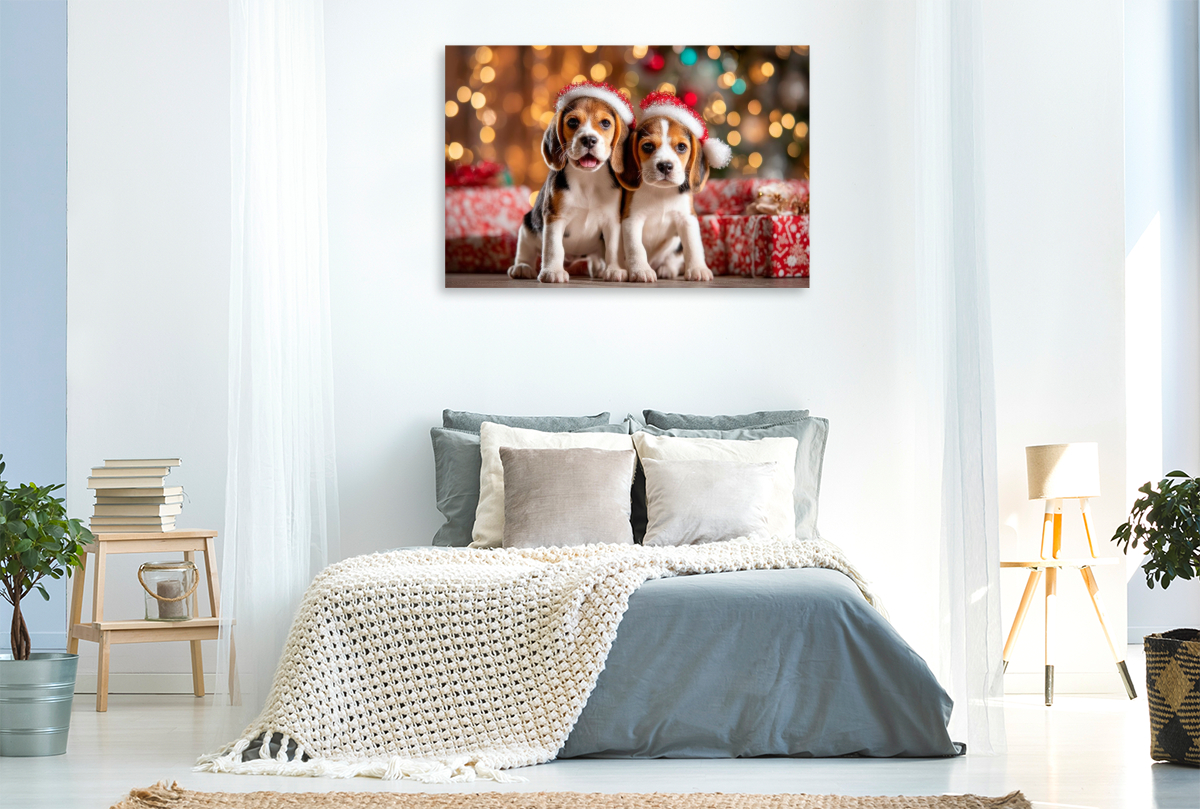 Beagles - Weihnachtsglück auf vier Pfoten