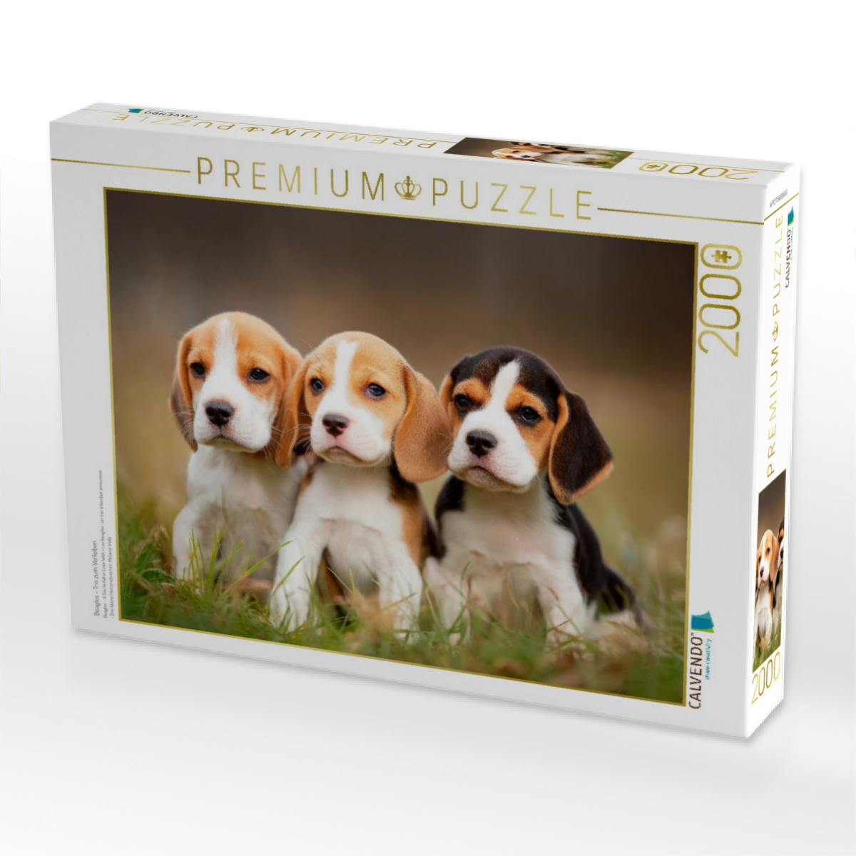 Beagles - Trio zum Verlieben