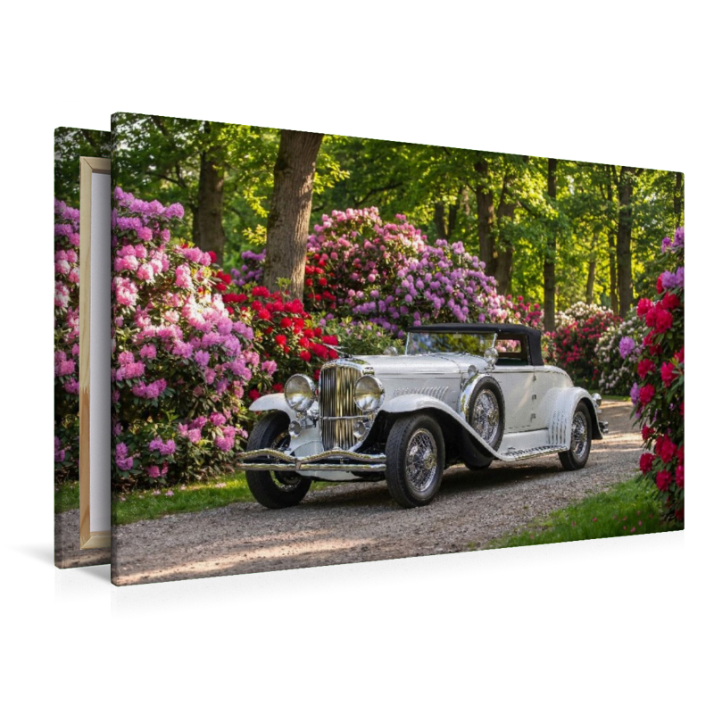 Duesenberg Model J Convertible Coupe (USA, 1929-35) auf einem Parkweg mit prächtigen Rhododendren