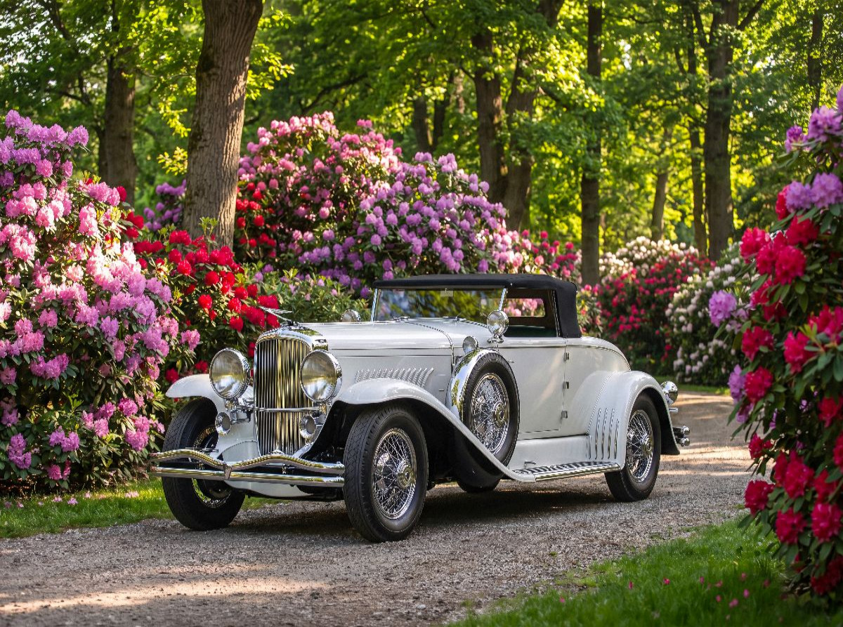 Duesenberg Model J Convertible Coupe (USA, 1929-35) auf einem Parkweg mit prächtigen Rhododendren