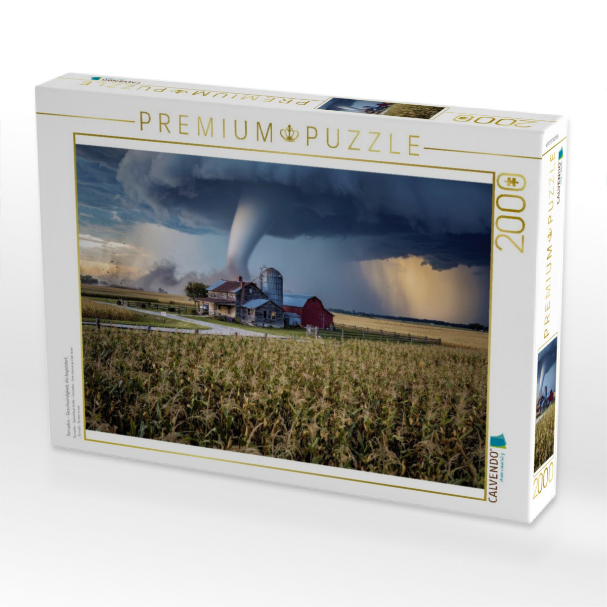Tornados – Geschwindigkeit, die begeistert.