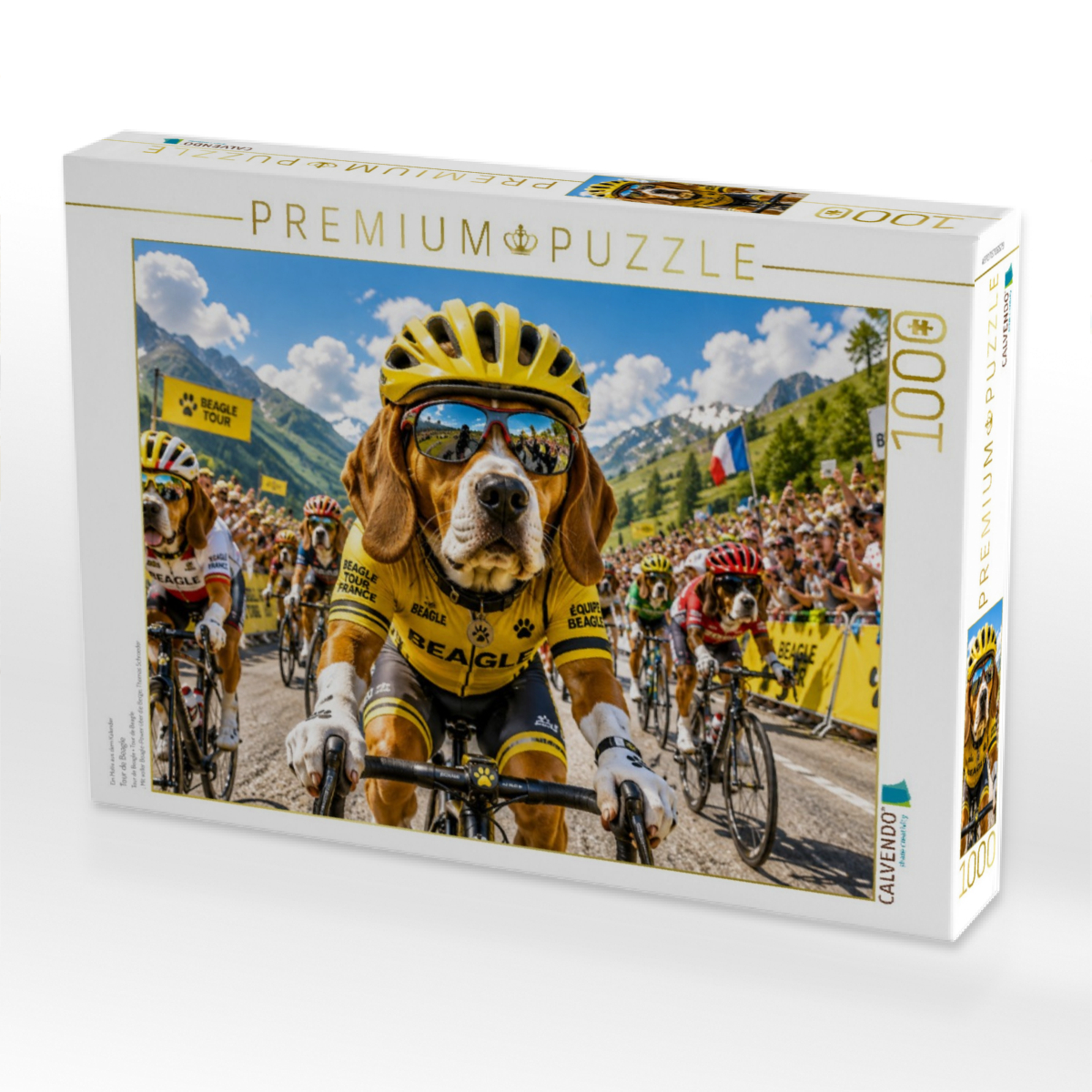 Tour de Beagle