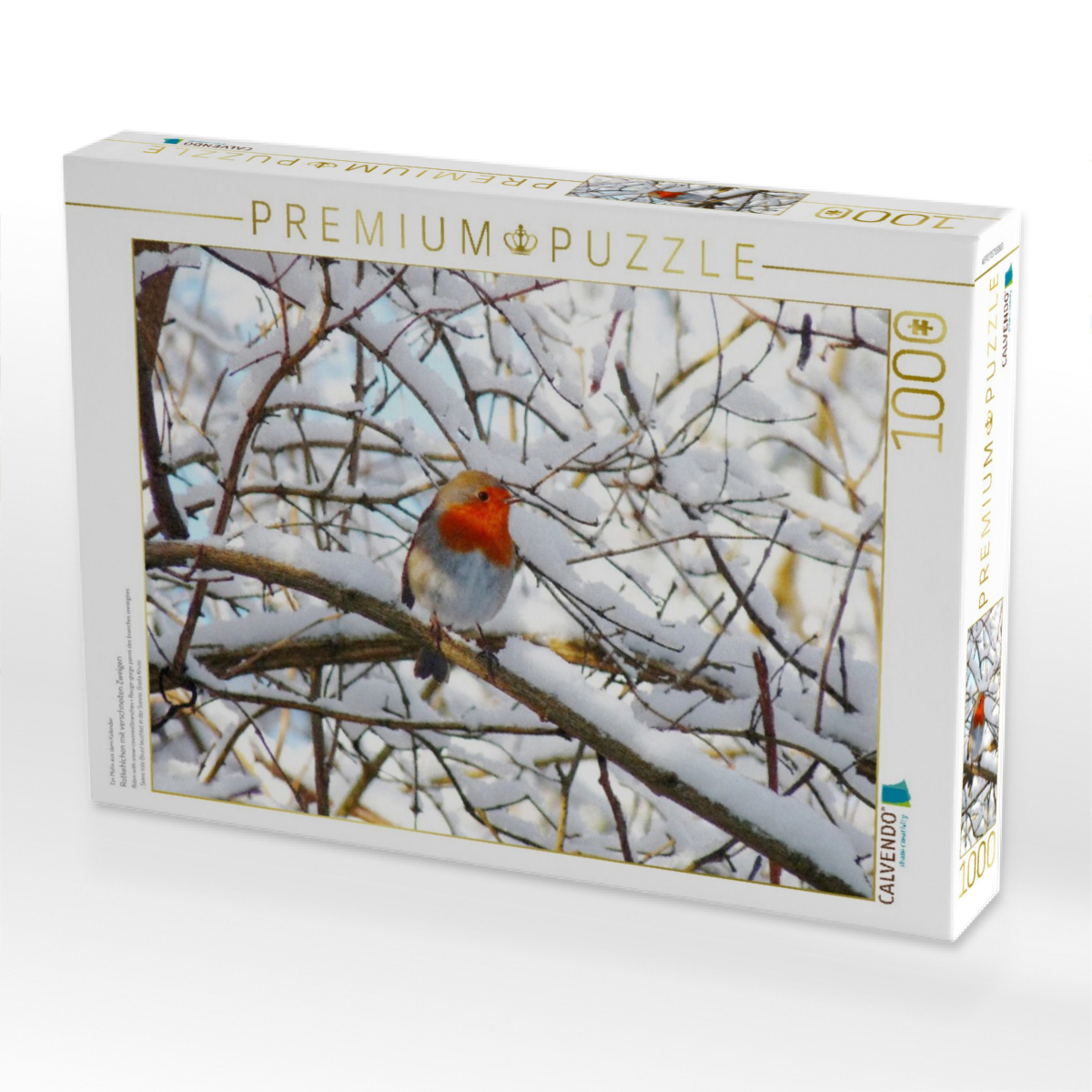 Rotkehlchen mit verschneiten Zweigen