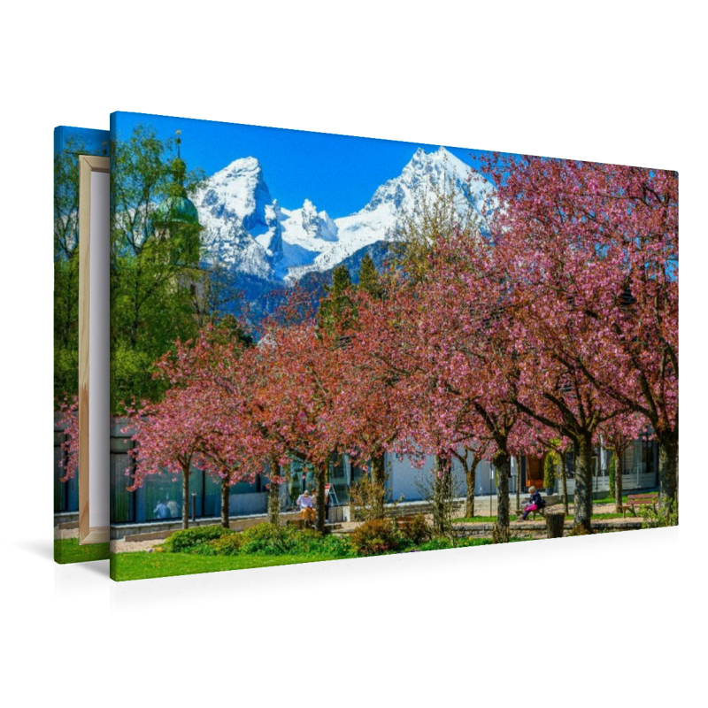Kirschblüte im Berchtesgadener Kurgarten