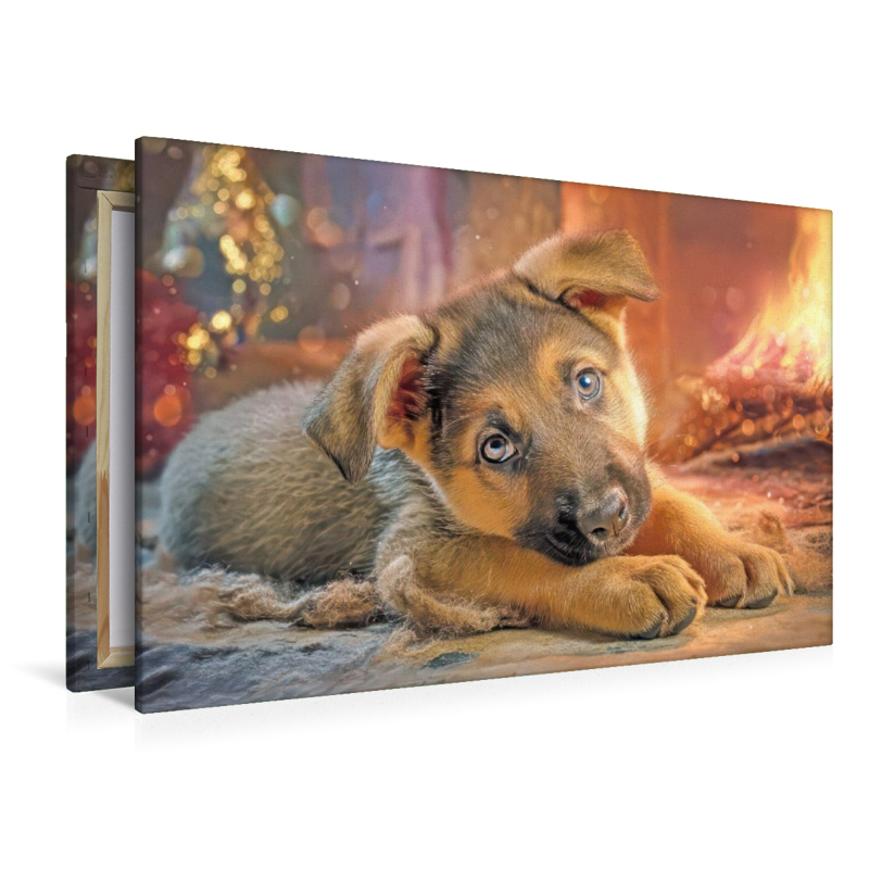 Hunde mit Charme - Illustrationen