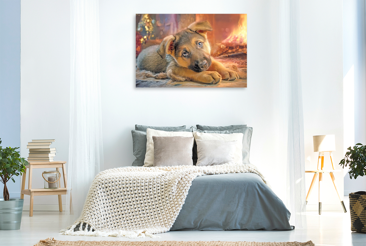 Hunde mit Charme - Illustrationen