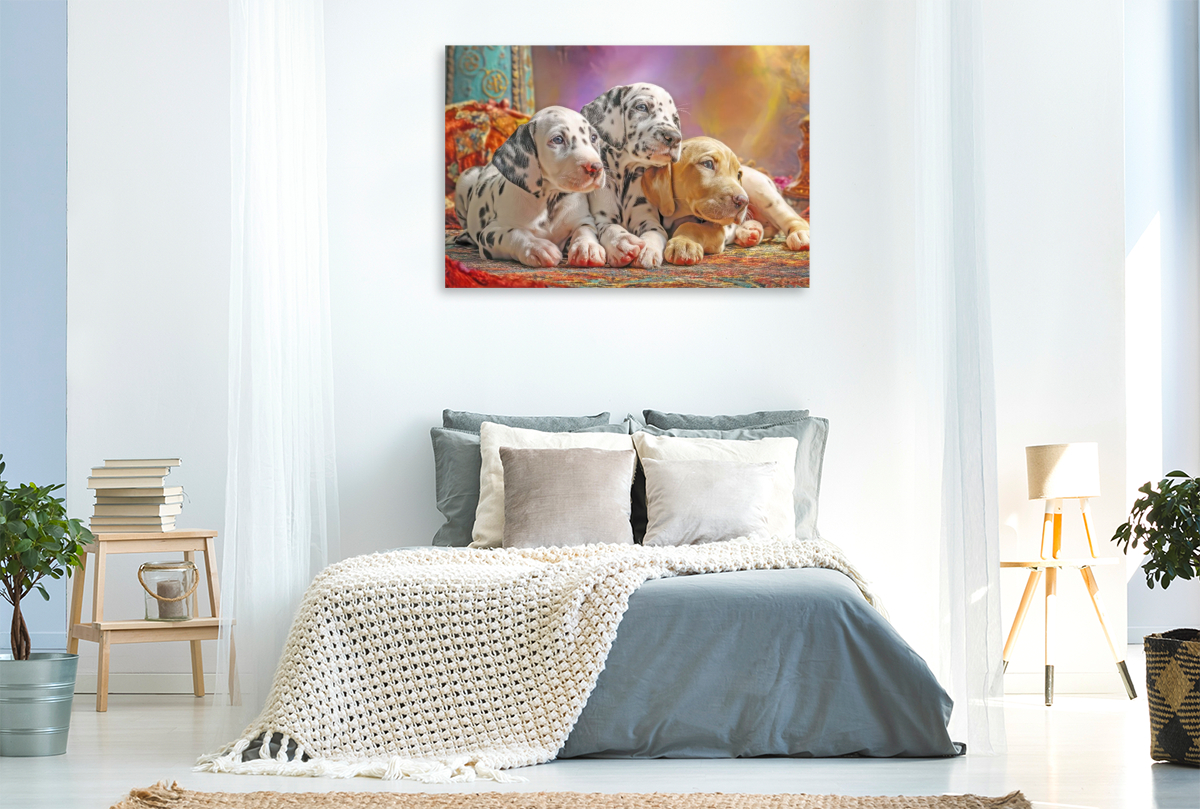 Hunde mit Charme - Illustrationen