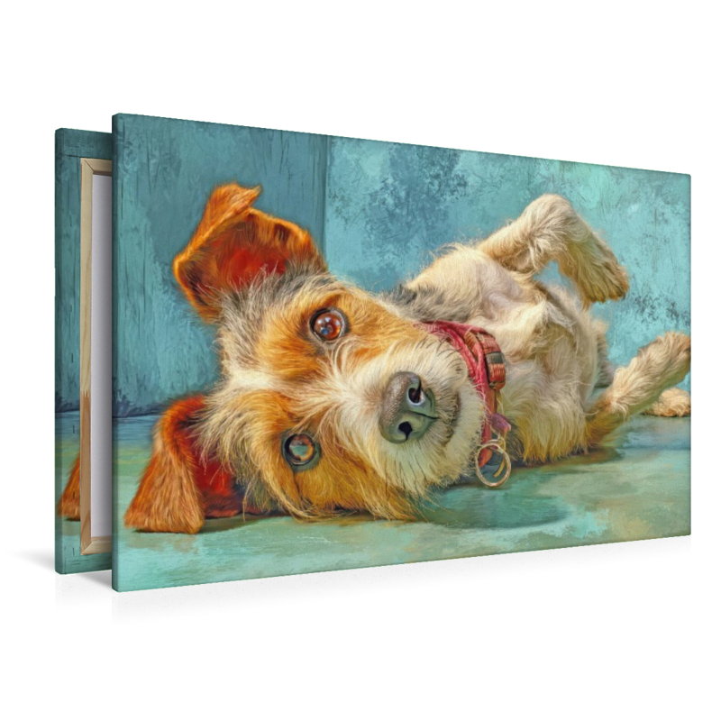 Hunde mit Charme - Illustrationen