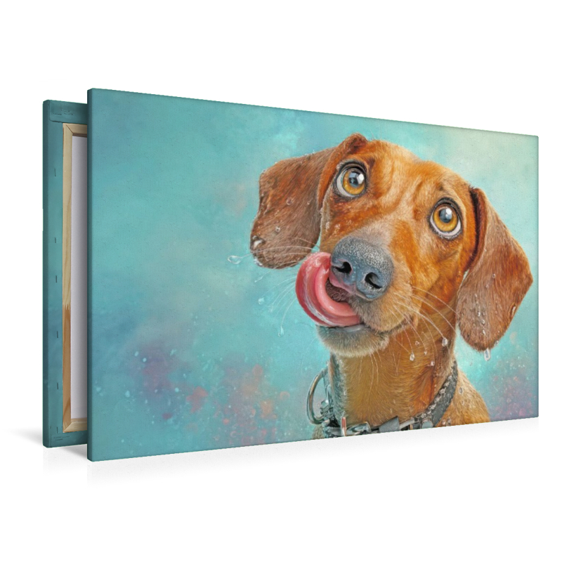 Hunde mit Charme - Illustrationen