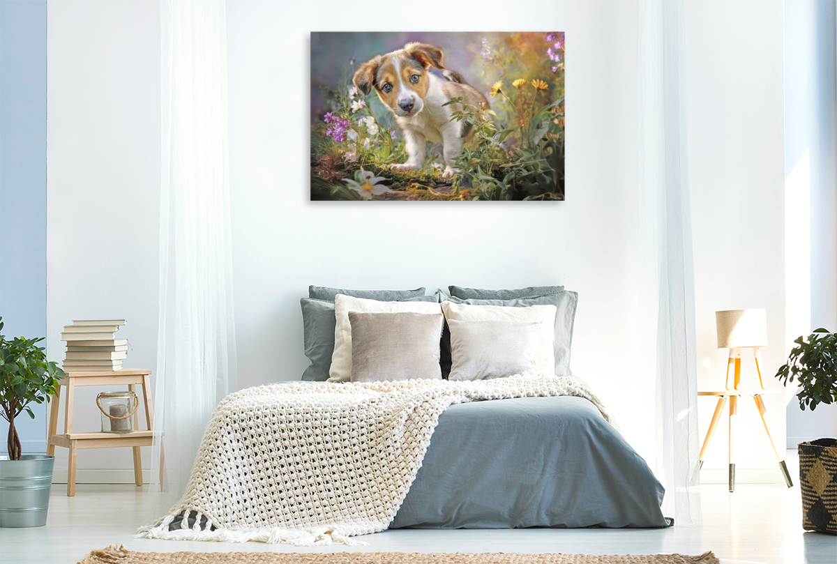 Hunde mit Charme - Illustrationen