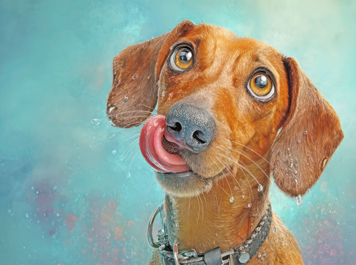Hunde mit Charme - Illustrationen