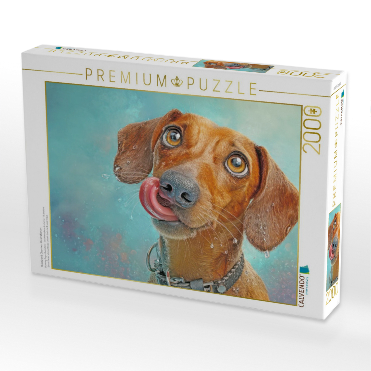Hunde mit Charme - Illustrationen