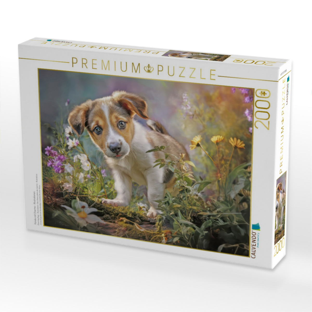 Hunde mit Charme - Illustrationen