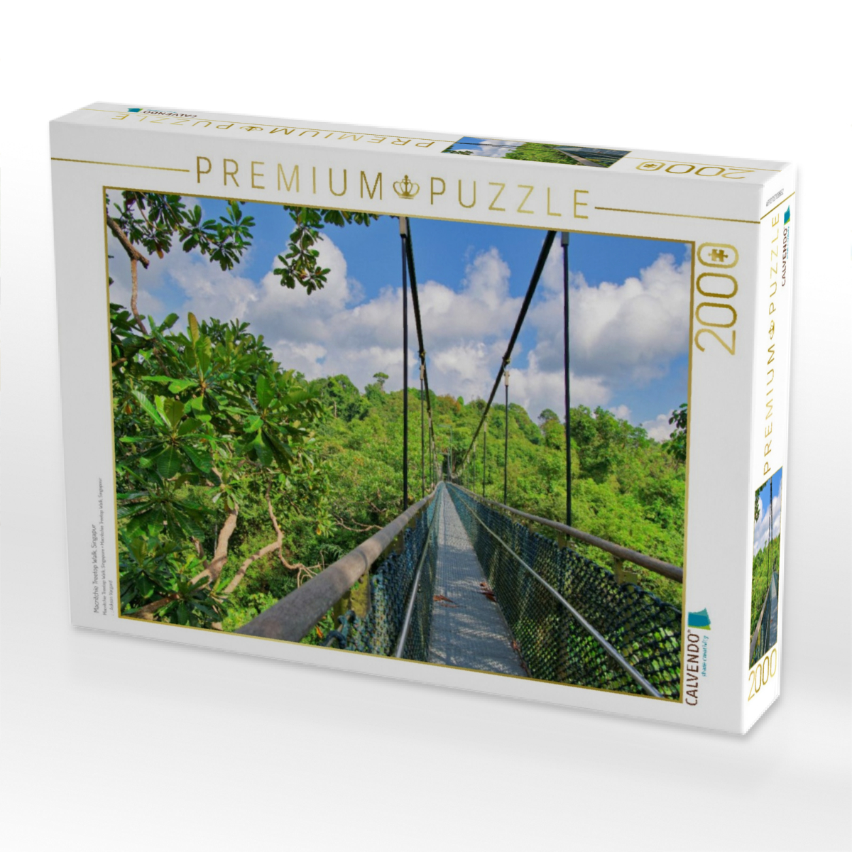 Macritchie Treetop Walk, Singapur
